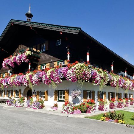 Thomanhof Chalet-Appartement Saalfelden Exteriér fotografie